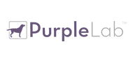 purple lab